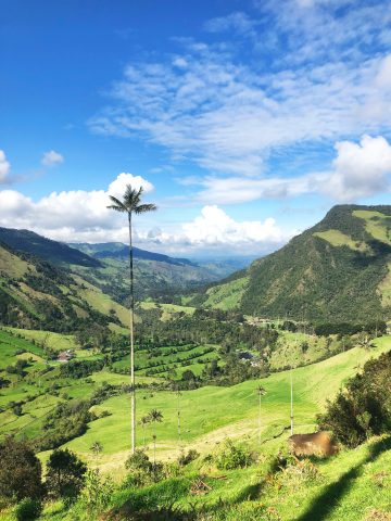 How To Get From Pereira to Salento - All Possible Ways, cheapest way from Pereira to Salento, Pereira to Salento bus, Pereira to Salento, bus schedule Pereira to Salento, Pereira to Salento, Expreso Alcala Pereira to Salento