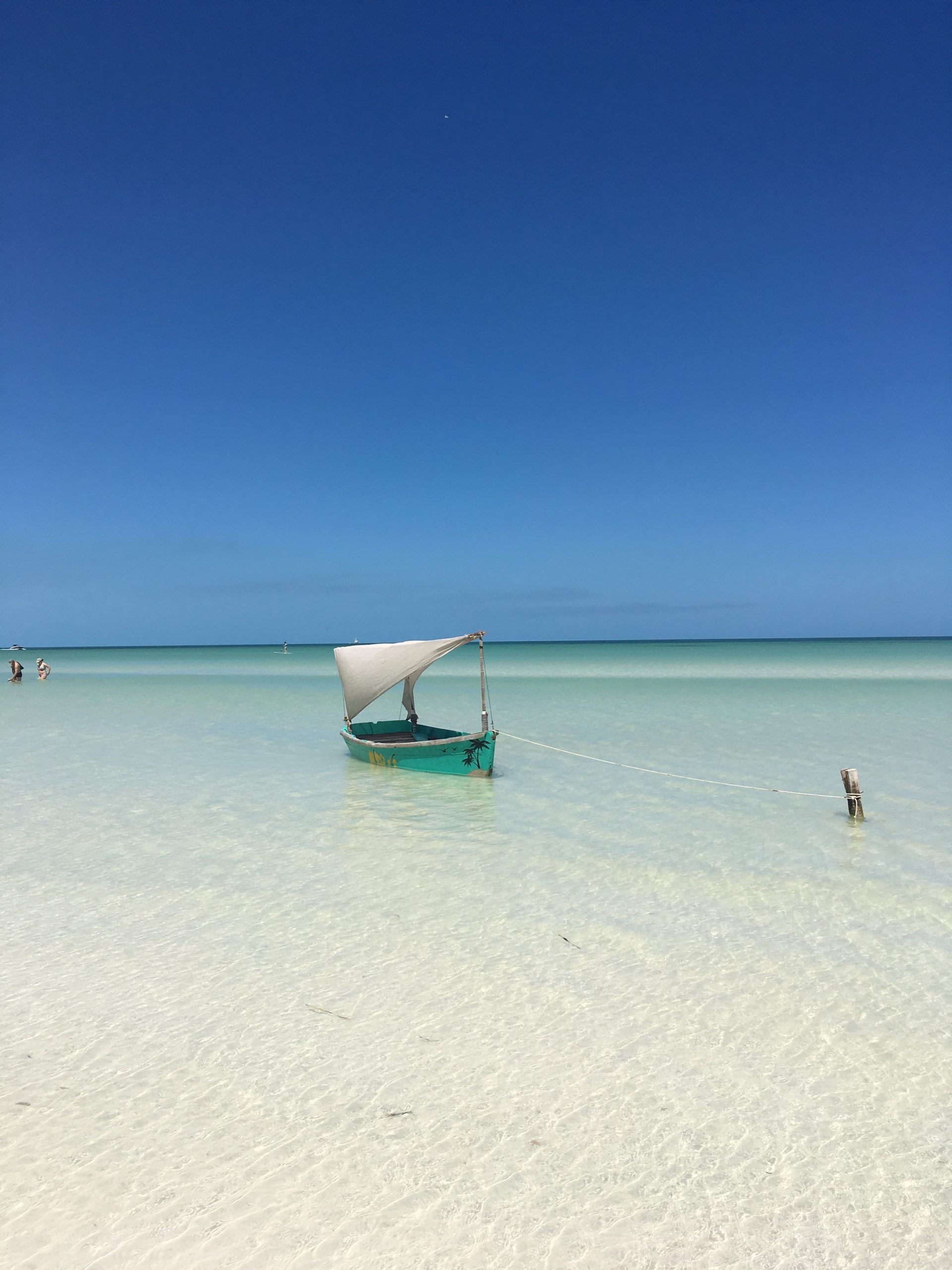 How To Get From Playa Del Carmen to Holbox Best Way 4 How To Get From Playa Del Carmen to Holbox - All Possible Ways, cheapest way from Playa Del Carmen to Holbox, Playa Del Carmen to Holbox, ado bus Playa Del Carmen to Holbox, shared van Playa del carmen to Holbox, Colectivo Playa Del Carmen to Holbox, Uber from Playa Del Carmen to Holbox, taxi from playa del carmen to Holbox