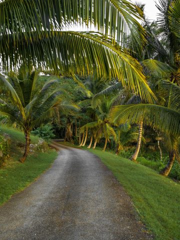 How To Get From Kingston Airport To Mandeville - All Possible Ways, cheapest way from Kingston airport to Mandeville, cheapest way from Kingston airport to Mandeville, Kingston airport to Mandeville, Kingston Bus Airport to Mandeville, shuttle bus Kingston airport to Mandeville, TAXI Kingston airport to Mandeville, KNUTSFORD EXPRESS KINGSTON AIRPORT TO MANDEVILLE