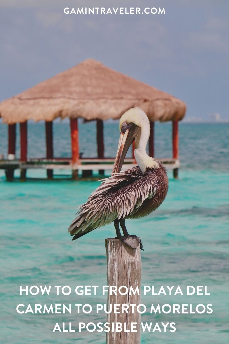How To Get From Playa Del Carmen to Puerto Morelos - All Possible Ways, cheapest way from Playa Del Carmen to Puerto Morelos, Playa Del Carmen to Puerto Morelos, ado bus Playa Del Carmen to Puerto Morelos, shared van Playa del carmen to Puerto Morelos