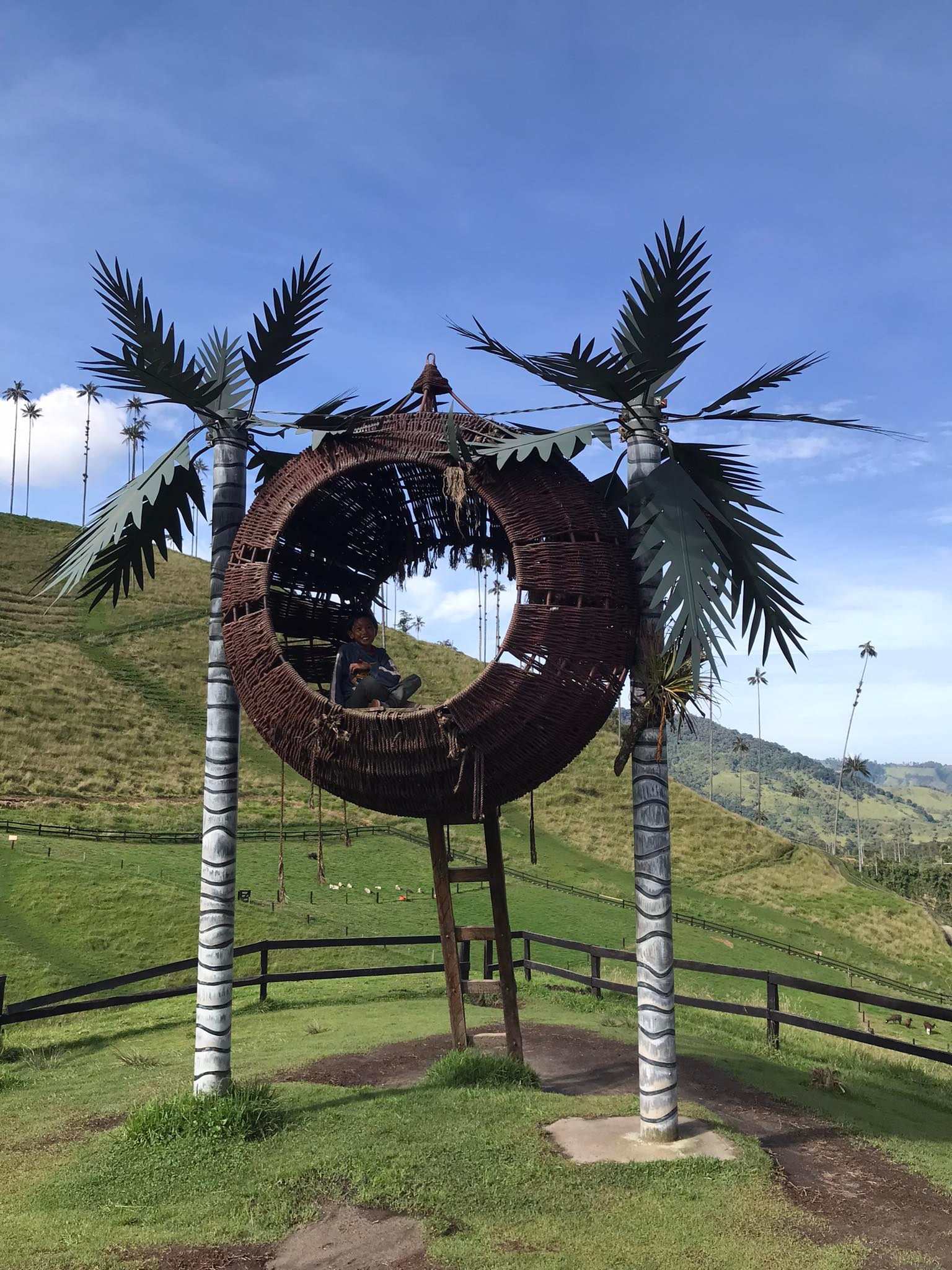 How To Get From Pereira to Salento - All Possible Ways, cheapest way from Pereira to Salento, Pereira to Salento bus, Pereira to Salento, bus schedule Pereira to Salento, Pereira to Salento, Expreso Alcala Pereira to Salento