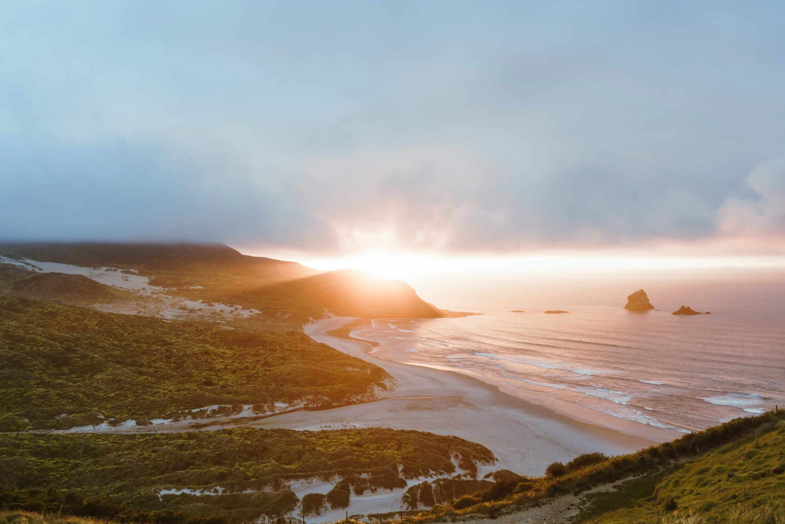 How To Get From Dunedin Airport To City Center Best Way 2 How To Get From Dunedin Airport To City Center - All Possible Ways, cheapest way from Dunedin airport to Downtown, cheapest way from Dunedin airport to city, Dunedin airport to city center, Dunedin airport to Dunedin, Dunedin Bus Airport, bus from Dunedin airport to city center, taxi Dunedin airport to city center, Uber Dunedin airport to city, train Dunedin airport to city center, shuttle bus Dunedin airport to city center