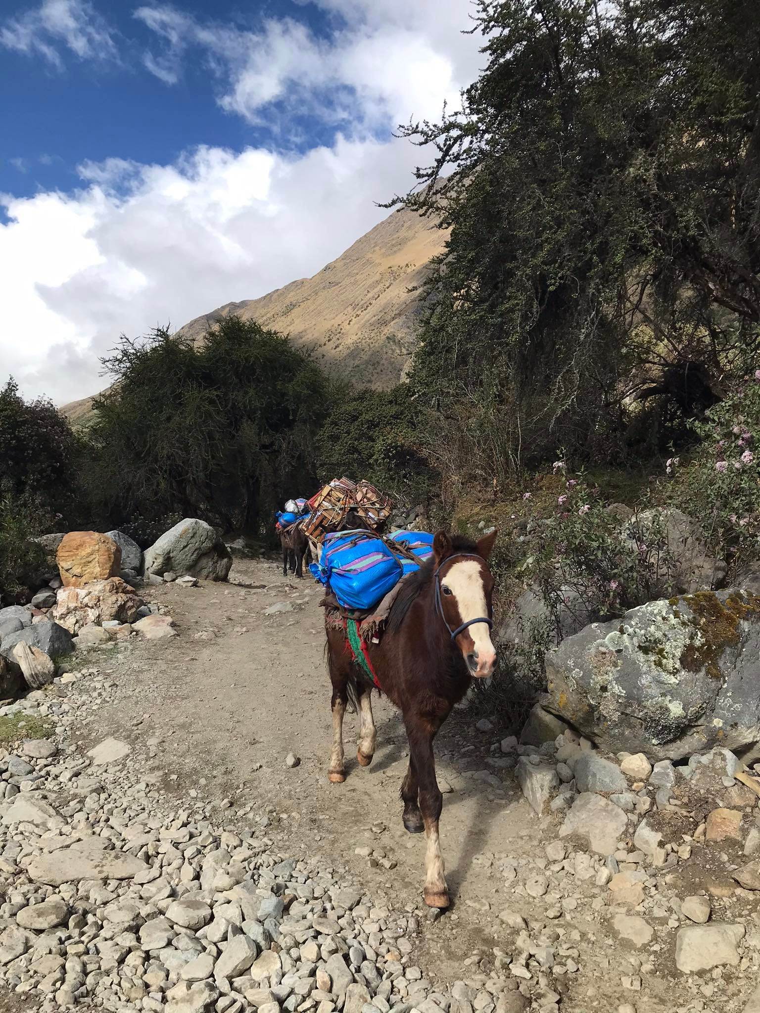 How To Get From Cusco To Humantay Lake (Travel Guide) 5 Horse Ride Humantay Lake, How To Get From Cusco To Humantay Lake (Travel Guide)