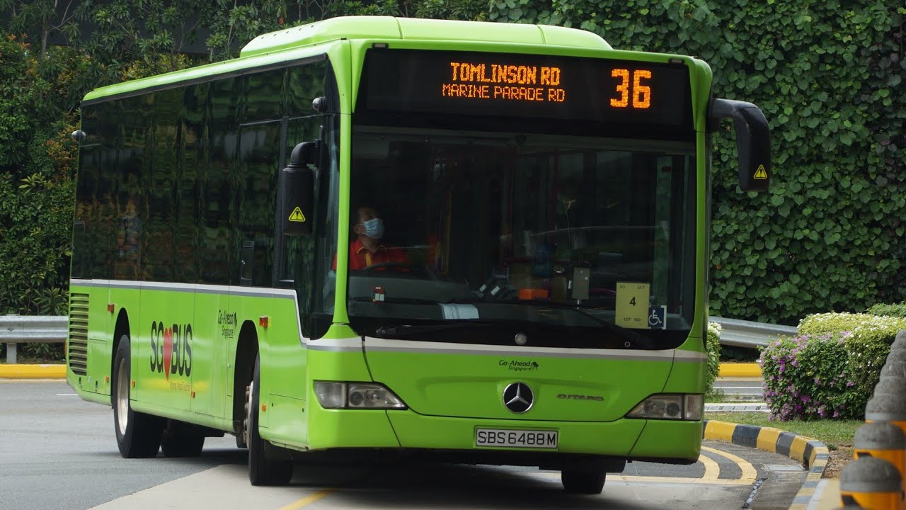 How To Get From Singapore Airport To Bugis Best Way 4 Bus Number 36 Singapore airport to Bugis,How To Get From Singapore Airport To Bugis - All Possible Ways, cheapest way from Singapore airport to Bugis, Singapore airport to Bugis, Changi airport to Bugis, Singapore Bus Airport, bus from Singapore airport to Bugis, taxi Singapore airport to Bugis, Uber/Grab Singapore airport to Bugis, Singapore airport to Bugis by bus, Singapore airport to Bugis, MRT Singapore airport to Bugis, bus fare Singapore airport to Bugis, shuttle bus Singapore Airport To Bugis, EZ Link Card, Metro Map Changi airport, Metro Map Singapore airport