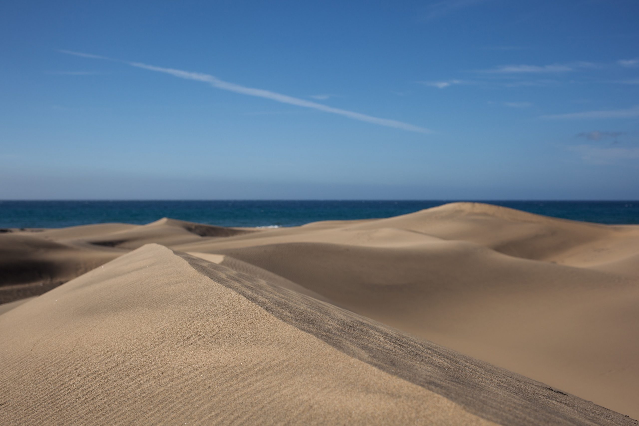 How To Get From Gran Canaria Airport To Maspalomas - All Possible Ways, cheapest way from Gran Canaria airport to Maspalomas, Gran Canaria airport to Maspalomas, Gran Canaria airport to Maspalomas, Gran Canaria Bus Airport, bus from Gran Canaria airport to Maspalomas, taxi Gran Canaria airport to Maspalomas, Uber Gran Canaria airport to Maspalomas, Gran Canaria airport to Maspalomas by bus, Gran Canaria to Maspalomas, Las Palmas airport to Maspalomas