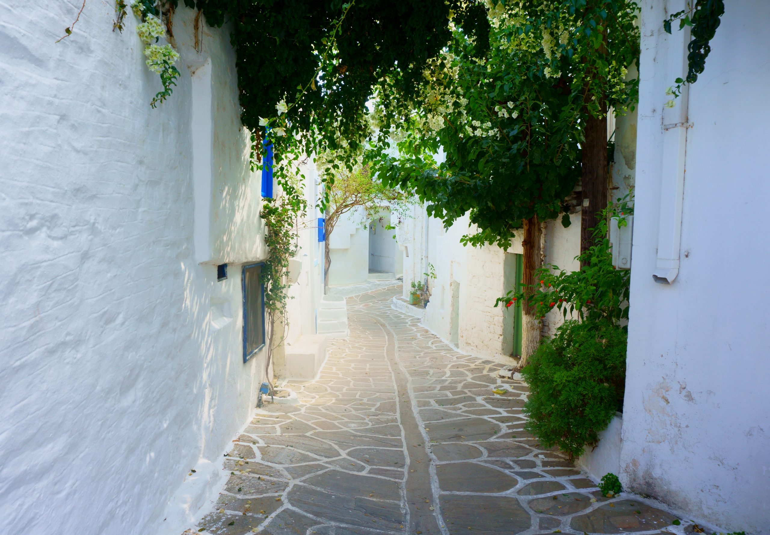 How To Get From Paros Airport To Parikia Best Way 3 How To Get From Paros Airport To Parikia - All Possible Ways, cheapest way from Paros airport to Parikia, cheapest way from Paros airport to Parikia, Paros airport to Parikia, cheapest way from Paros airport to Parikia town, Paros airport to Parikia town, Paros Bus Airport, bus from Paros airport to Parikia town, taxi Paros airport to Parikia, Uber Paros airport to Parikia, Paros airport to Parikia by bus