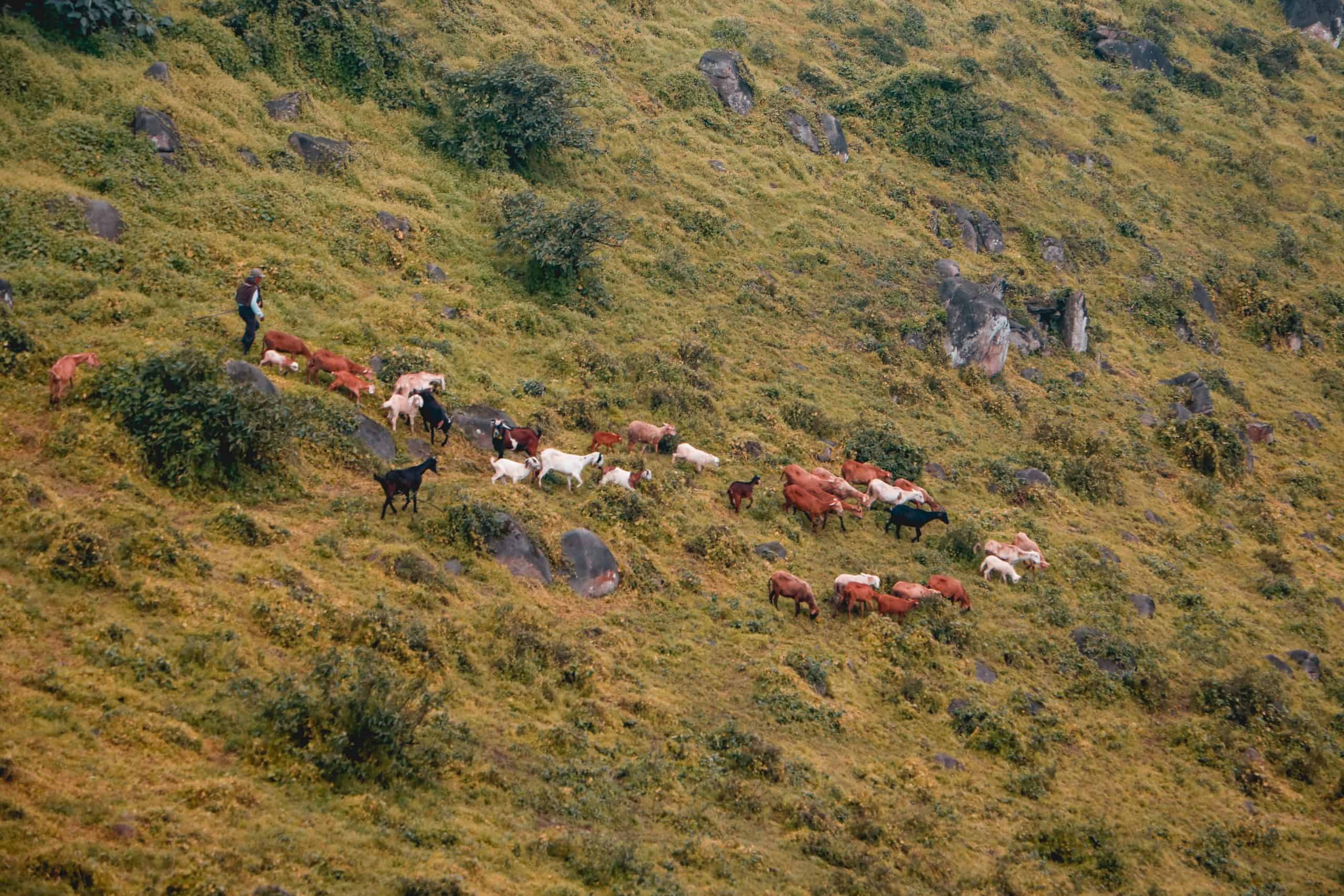 Best Family Travel Destinations In Peru