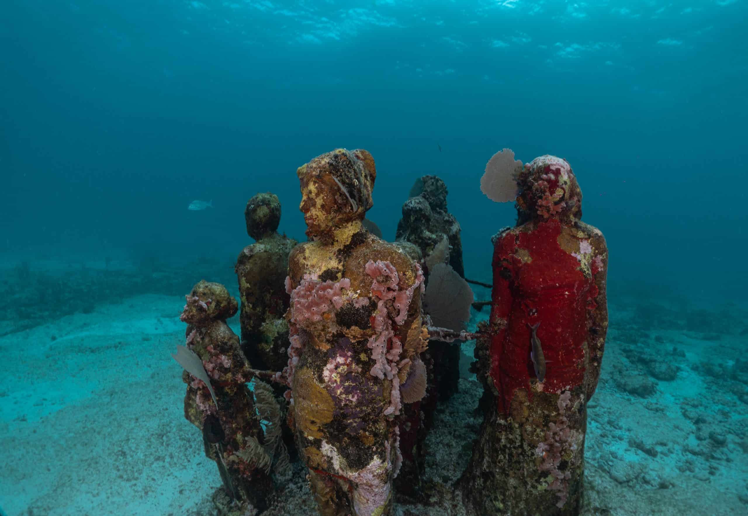 Comparison Isla Mujeres vs Cozumel - Which Is Better For Your Vacation 5 Isla Mujeres vs Cozumel - Which Island Should You Visit