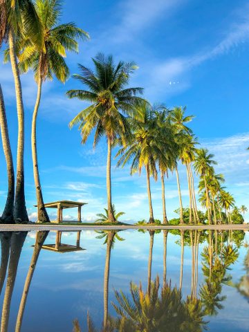 best Nauru esim, Nauru esim unlimited data, unlimited data esim Nauru, best esim for Nauru, Nauru tourist esim, esim Nauru, Nauru esim, Nauru esim for tourist, Nauru esim for tourists, Nauru prepaid esim, Prepaid eSim in Nauru, cheapest esim in Nauru, best data plan esim Nauru, Airalo Nauru Esim, Holafly Nauru eSim, GigSky Nauru eSim, Ubigi Nauru esim discount code, Nomad eSim Nauru, MTX eSim Nauru, data eSim in Nauru, Airalo Nauru esim discount code, Holafly Nauru discount code, Nomad Nauru esim discount code