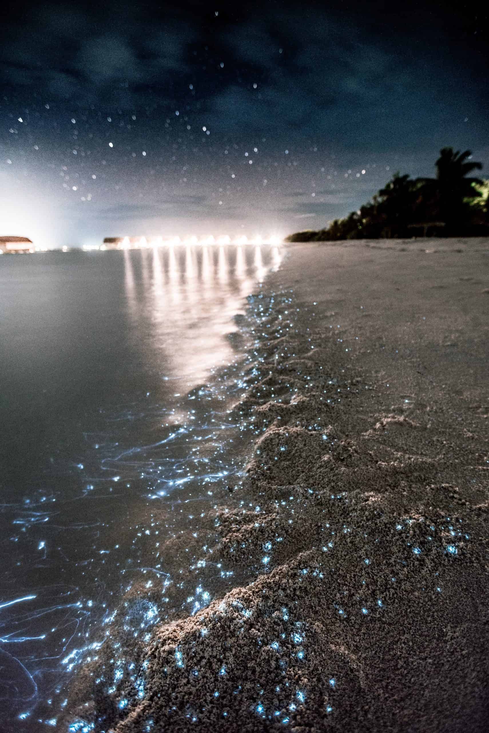 Comparison Holbox vs Tulum: Is Holbox Really the Better Trip? 6 Holbox vs Isla Mujeres - Which One is Worth Visiting