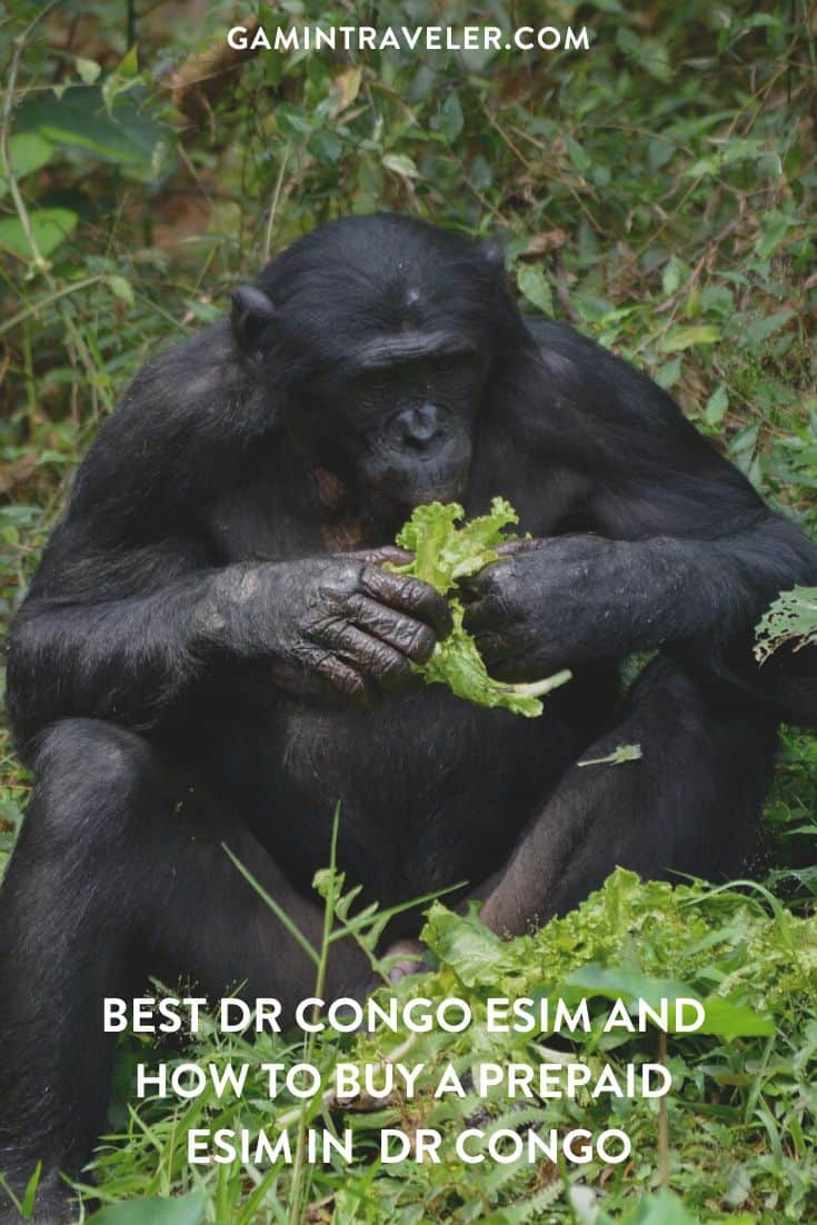 Best DR Congo eSIM (w/ Discount) – Best eSIM for DR Congo Compared 1 best DR Congo esim, DR Congo esim unlimited data, unlimited data esim DR Congo, best esim for DR Congo, DR Congo tourist esim, esim DR Congo, DR Congo esim, DR Congo esim for tourist, DR Congo esim for tourists, DR Congo prepaid esim, Prepaid eSim in DR Congo, cheapest esim in DR Congo, best data plan esim DR Congo, Airalo DR Congo Esim, Holafly DR Congo eSim, GigSky DR Congo eSim, Ubigi DR Congo esim discount code, Nomad eSim DR Congo, MTX eSim DR Congo, data eSim in DR Congo, Airalo DR Congo esim discount code, Holafly DR Congo discount code, Nomad DR Congo esim discount code