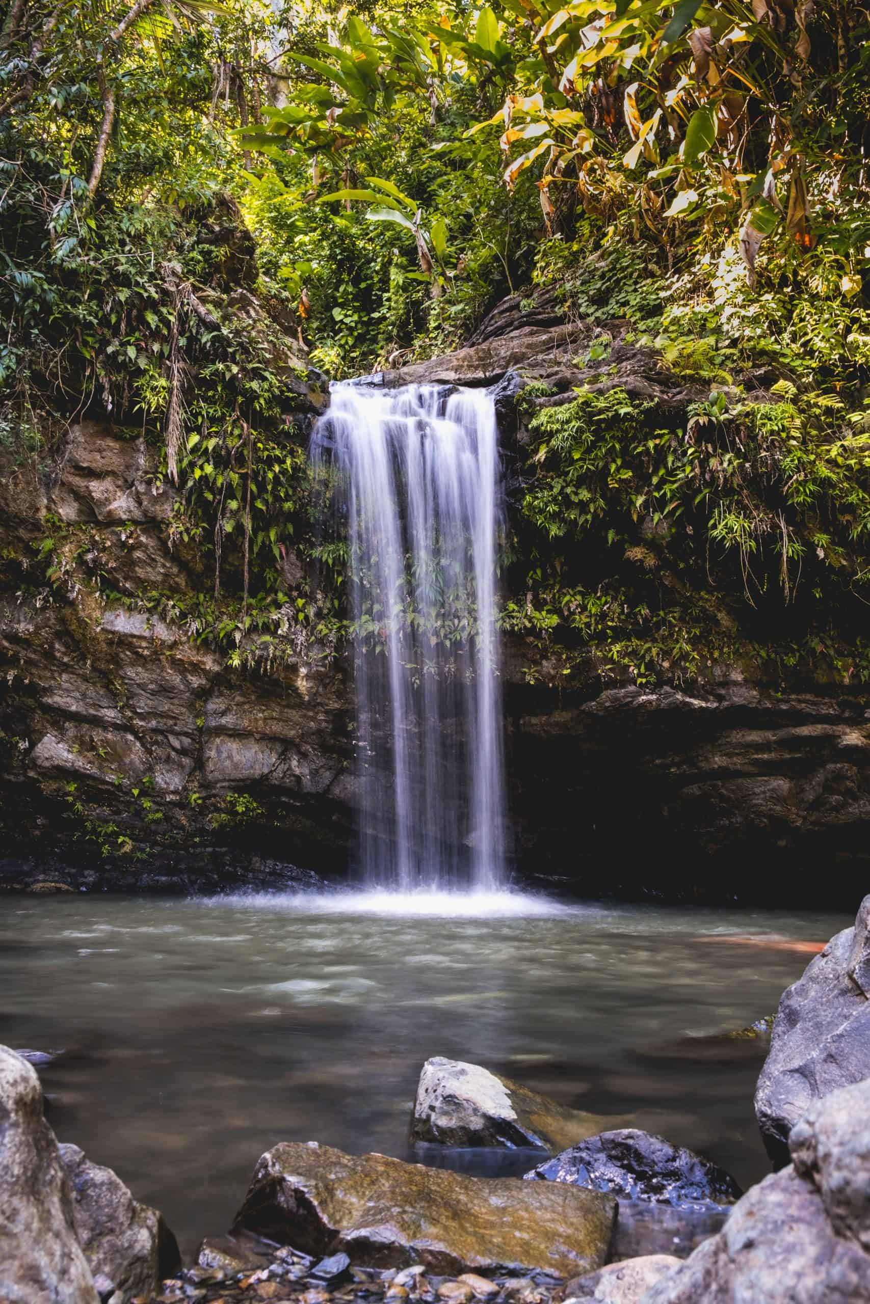 Comparison Puerto Rico vs Bahamas: Why More Travelers Are Choosing Puerto Rico Over the Bahamas 3 El Yunque National Forest in Puerto Rico, Puerto Rico vs Bahamas - Choosing Your Next Best Caribbean Vacation