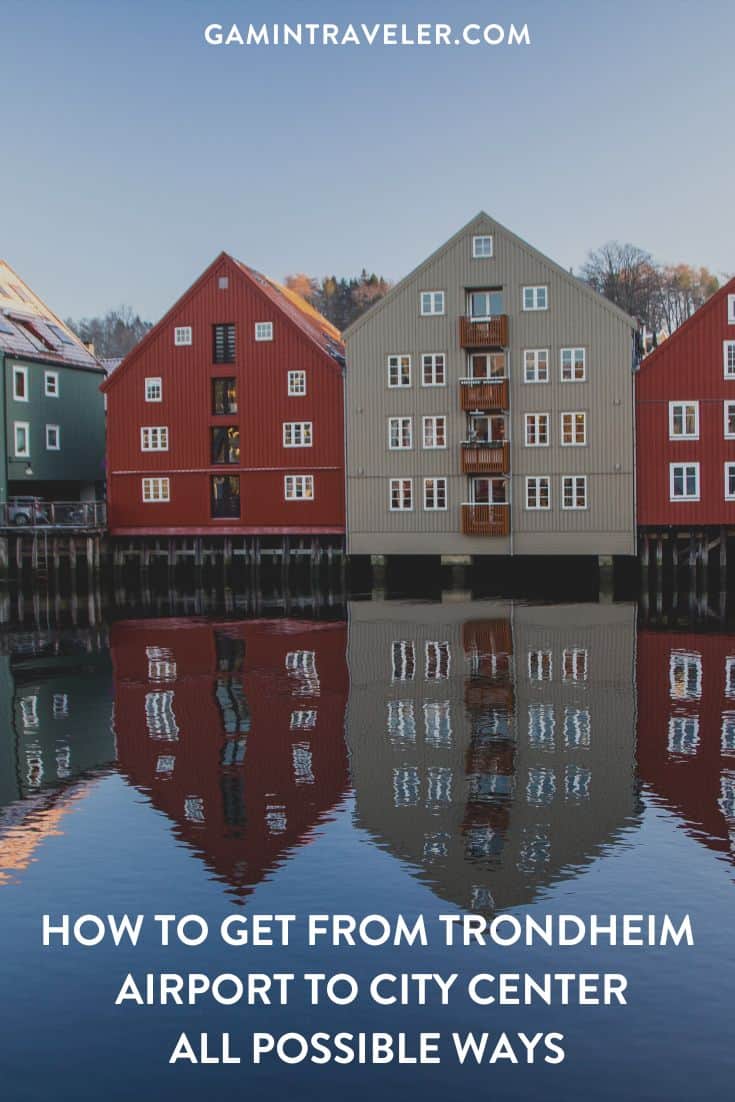 TRONDHEIM PIN