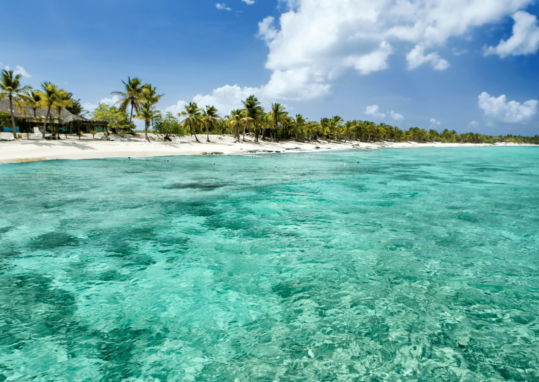 Comparison Dominican Republic vs Jamaica - Which is a Better Trip? 6 Isla Catalina Dominican Republic, Catalina Island Dominican Republic, Dominican Republic vs Jamaica