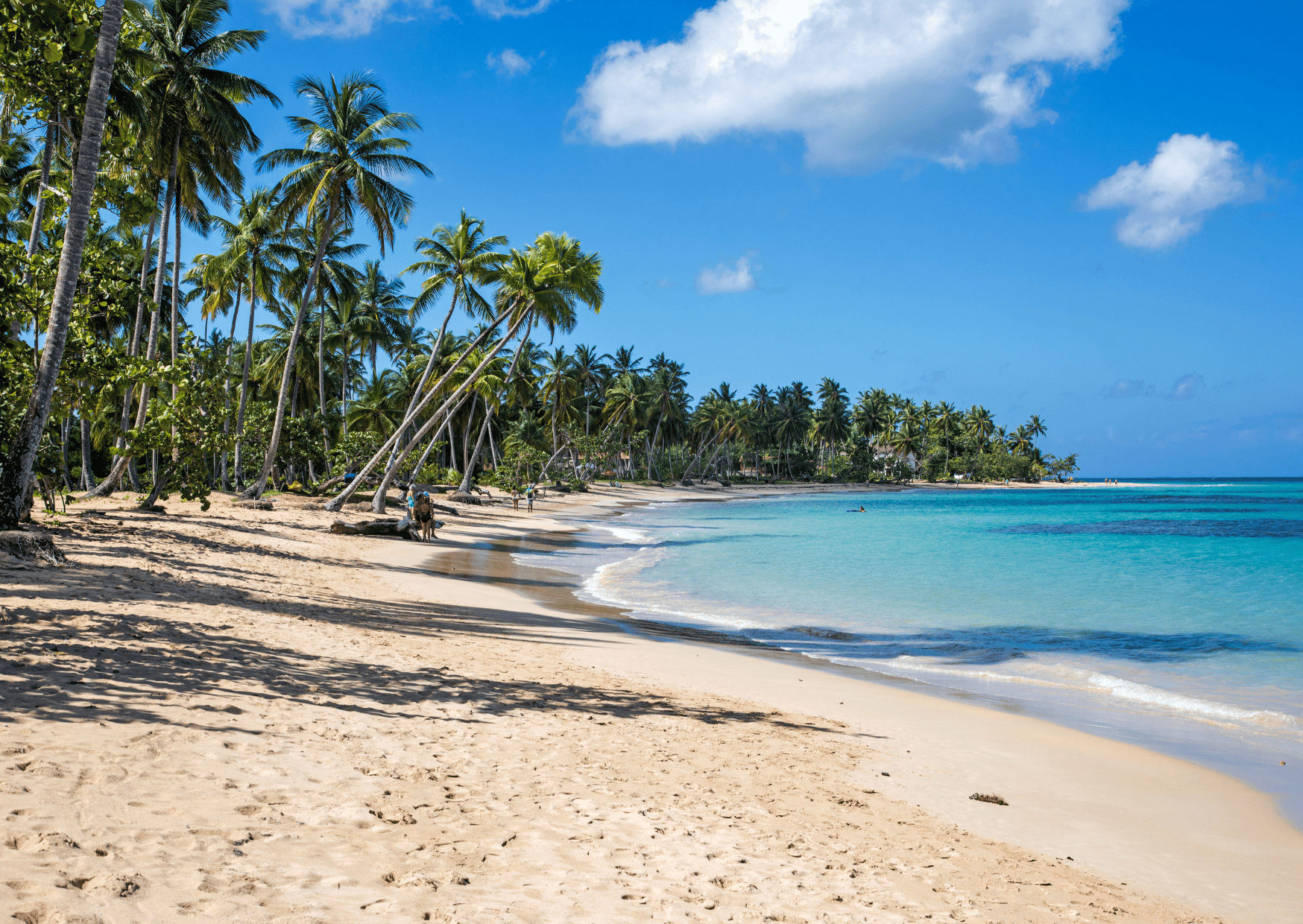 Comparison Dominican Republic vs Jamaica - Which is a Better Trip? 16 Samana Bacardi Dominican Republic - Dominican Republic vs Jamaica