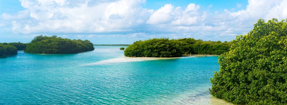 Belize vs Tulum - Which is the Better Vacation?