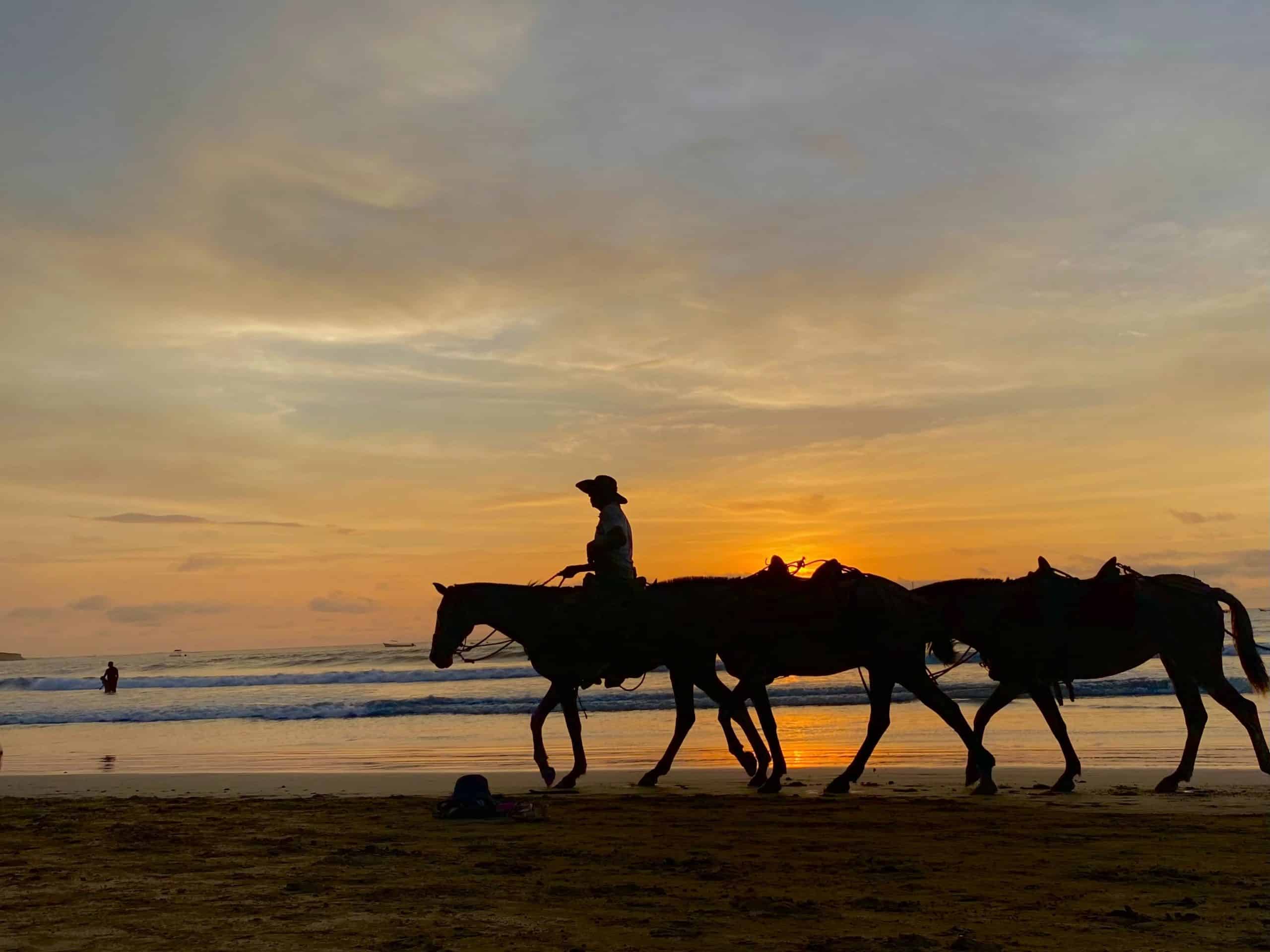 Nosara vs Tamarindo - Which is the Better Vacation in Costa Rica? 8 Nosara vs Tamarindo - Which is the Better Vacation in Costa Rica?, Tamarindo vs Nosara, Nosara vs Tamarindo