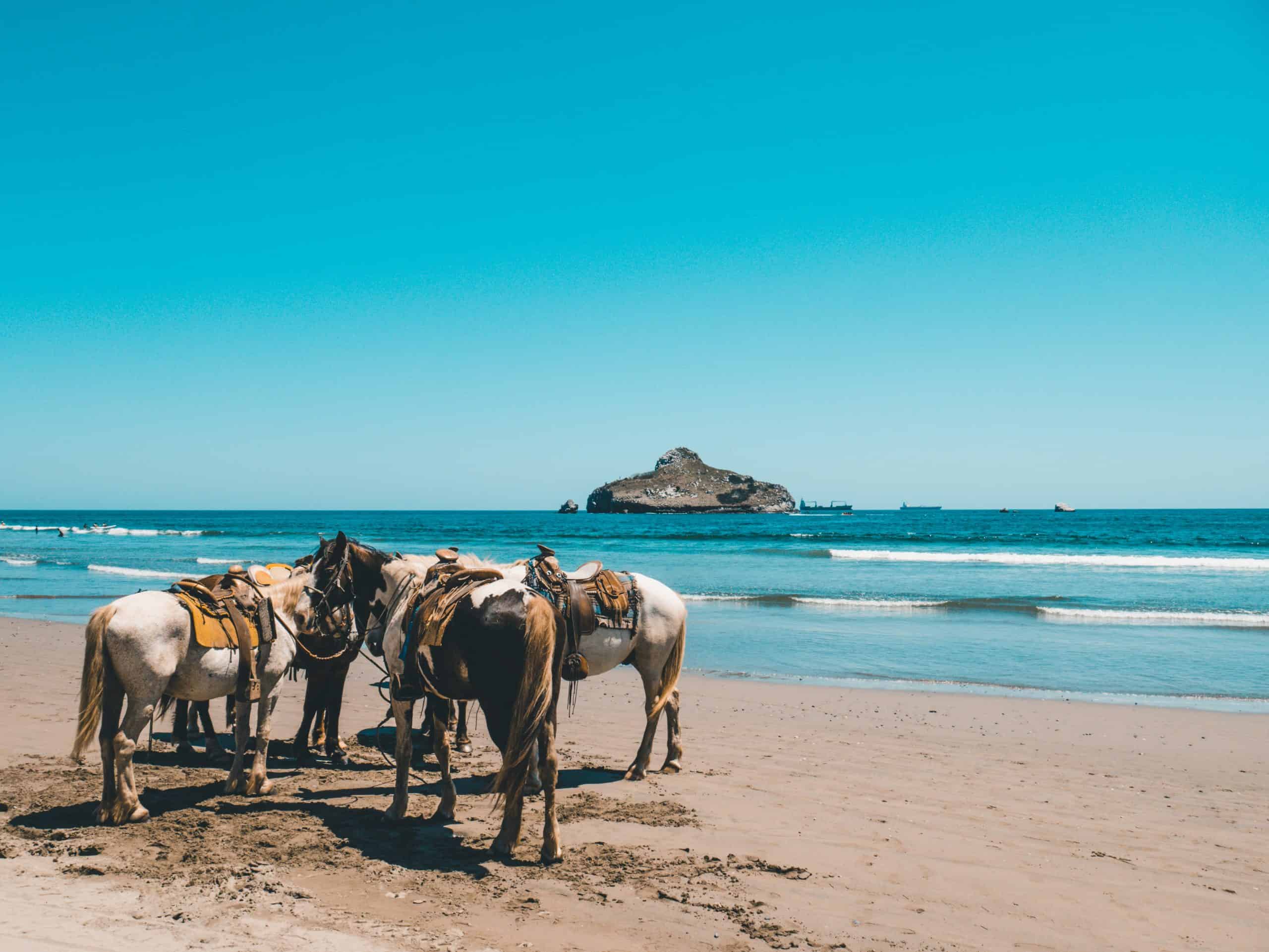 Comparison Puerto Vallarta vs Mazatlan - Which is the Better Vacation? 4 Mazatlan Beach - Puerto Vallarta vs Mazatlan, Mazatlan vs Puerto Vallarta