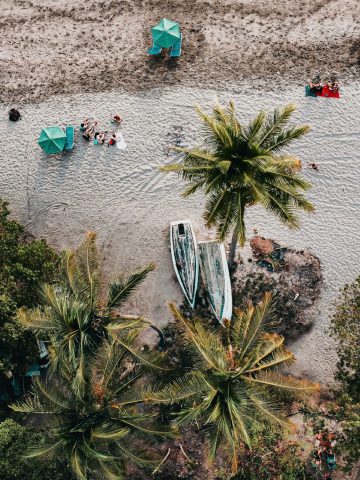 How To Get From Santa Teresa To Nosara – All Possible Ways, Santa Teresa to Nosara, cheapest way from Santa Teresa to Nosara, Santa Teresa to Nosara bus, from Santa Teresa to Nosara bus, taxi from Santa Teresa to Nosara bus, private transfer from Snata Teresa to Nosara , Playa Nosara Costa Rica, Nosara vs Tamarindo - Which is the Better Vacation in Costa Rica?