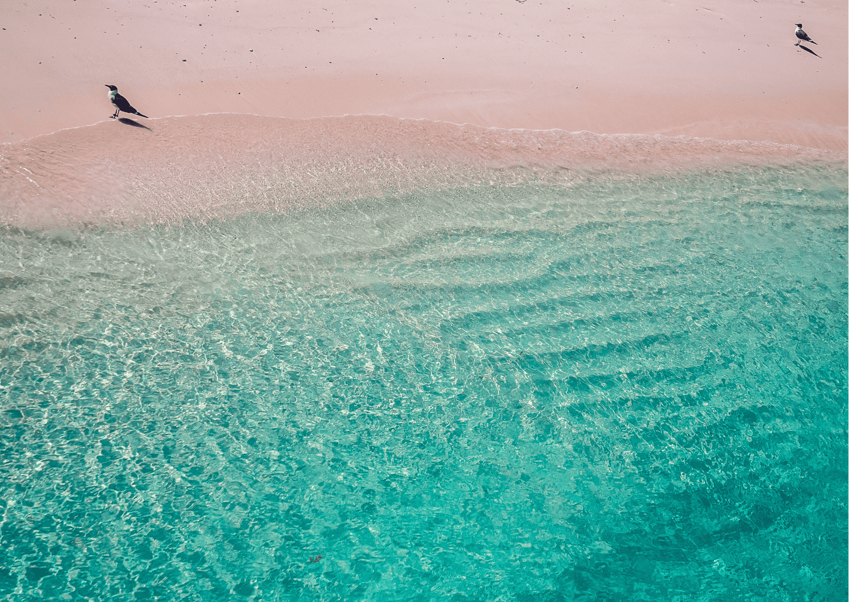 Comparison St Lucia vs Bahamas - Which is the Better Caribbean Vacation? 8 St Lucia vs Bahamas - Which is the Better Caribbean Vacation?