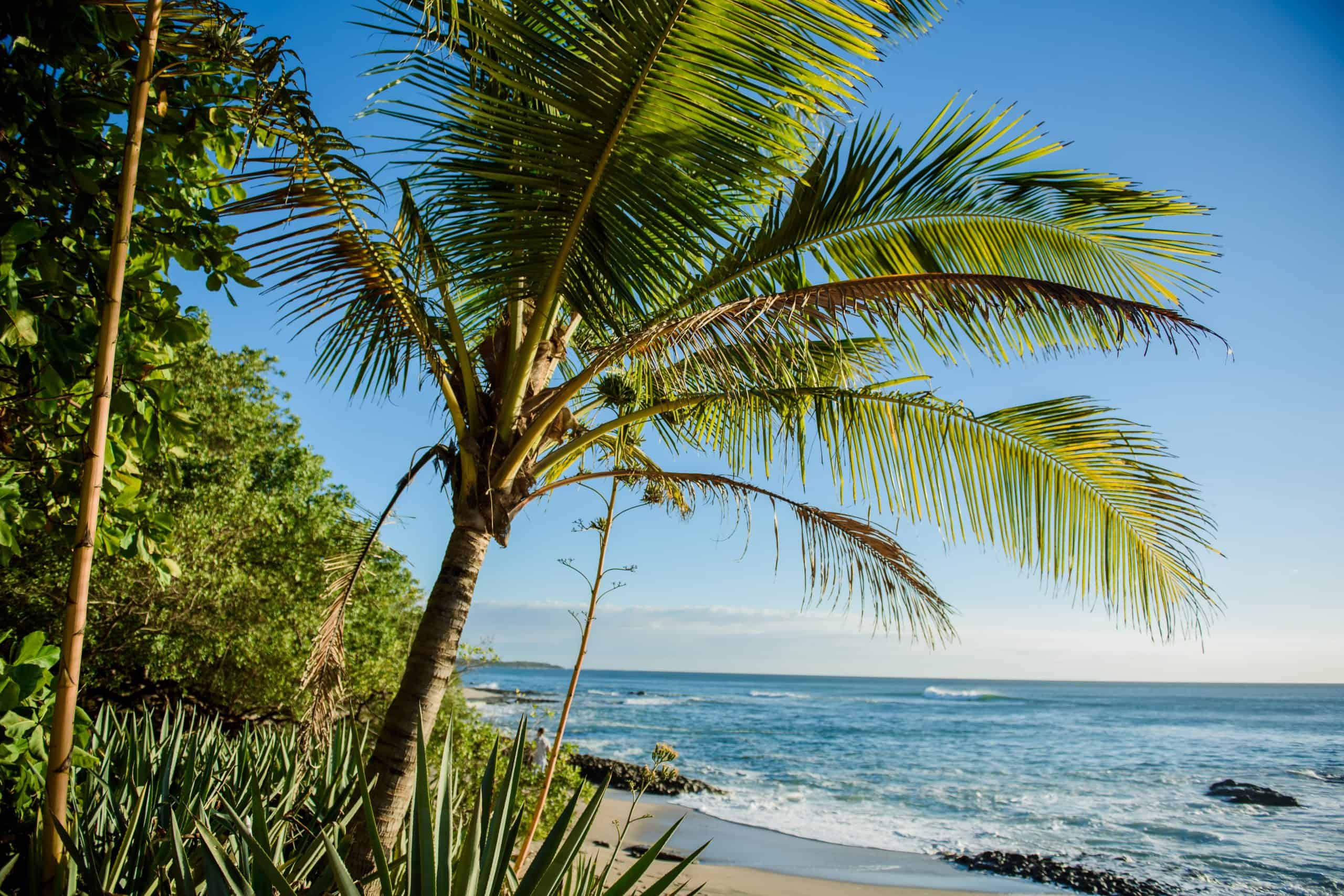Nosara vs Tamarindo - Which is the Better Vacation in Costa Rica? 5 Nosara vs Tamarindo - Which is the Better Vacation in Costa Rica? Tamarindo vs Nosara