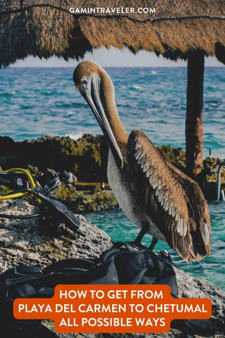How To Get From Playa del Carmen To Chetumal By Bus - All Possible Ways, cheapest way from Playa del Carmen to Chetumal, Playa del Carmen To Chetumal, ado bus from Playa del Carmen To Chetumal, AU Autobuses unidos bus from Playa del Carmen To Chetumal, Mayab bus from Playa del Carmen to Chetumal, shared van from Playa del Carmen To Chetumal, Colectivo from Playa del Carmen To Chetumal, Uber from Playa del Carmen To Chetumal, taxi from Playa del Carmen To Chetumal