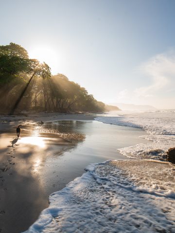 How To Get From Nosara to Santa Teresa – All Possible Ways, Nosara to Santa Teresa Beach, Nosara to Santa Teresa, Nosara to Santa Teresa transfer, cheapest way from Nosara to Santa Teresa, bus from Nosara to Santa Teresa, from Nosara to Santa Teresa by bus, taxi from Nosara to Santa Teresa, private transfer from Nosara to Santa Teresa, Shared Van from Nosara to Santa Teresa, rent a car in Nosara, uber from Nosara to Santa Teresa