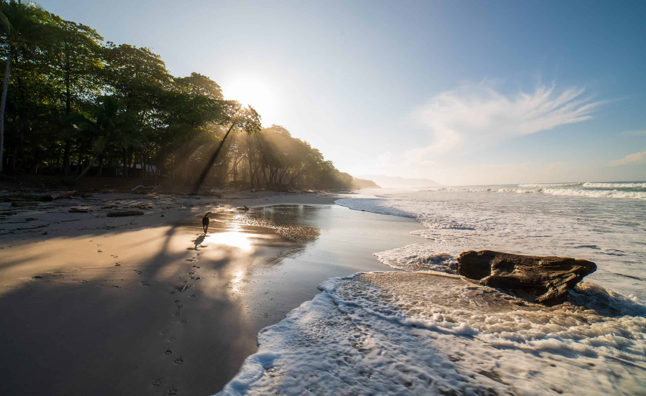 Tamarindo vs Santa Teresa - Which is the Better Costa Rican Vacation?