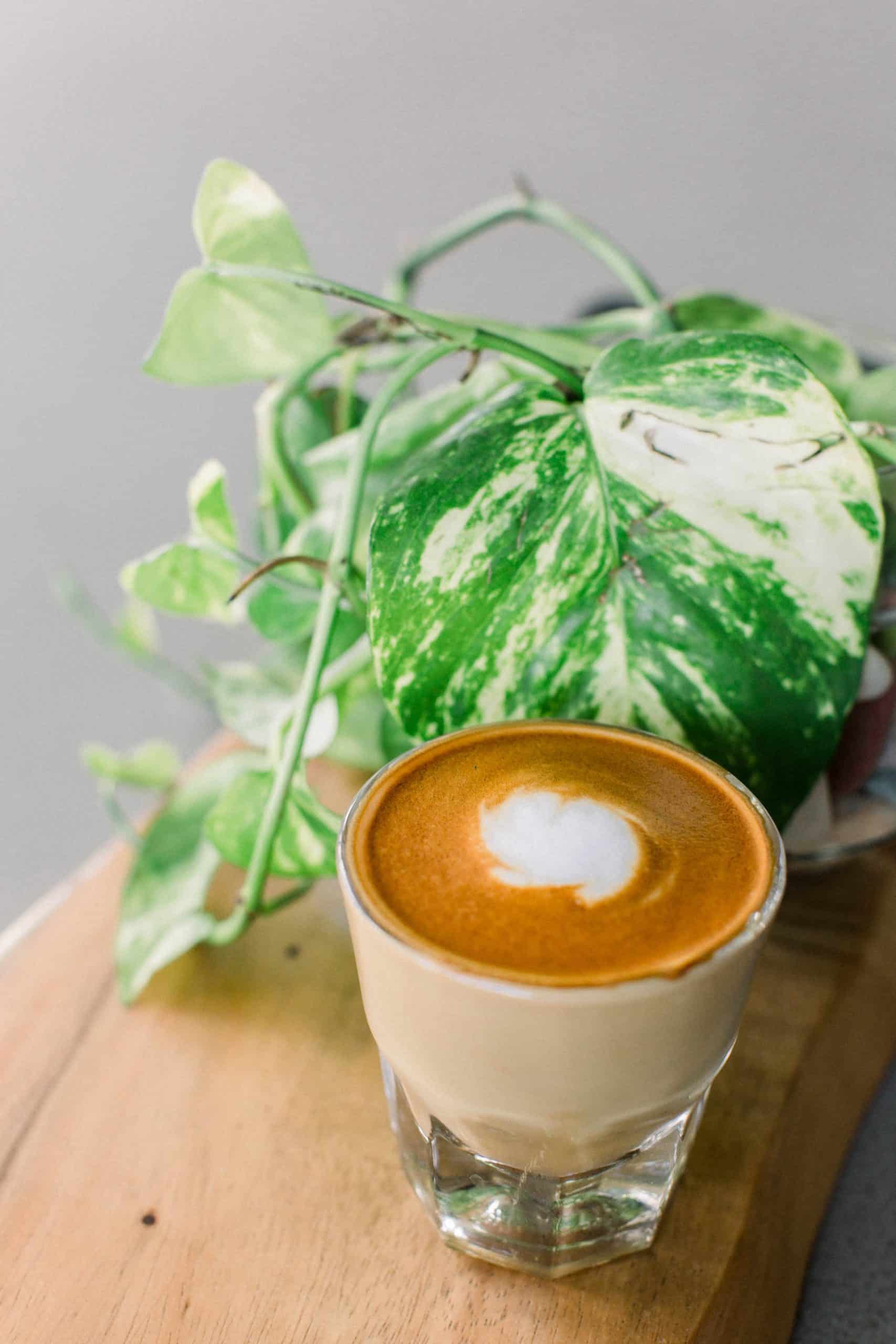 What Spanish People Really Eat for Breakfast: Spanish Breakfast Recipes - 20 Traditional Breakfast in Spain To Try 6 cafe cortado Spanish breakfast - breakfast in Spain