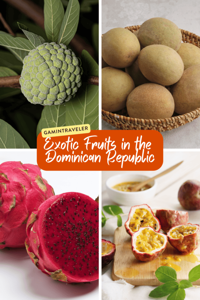 Fruits in Dominican Republic - Traditional and Exotic Fruits in Dominican Republic You Can't Miss 1 Exotic Fruits in the Dominican Republic 2