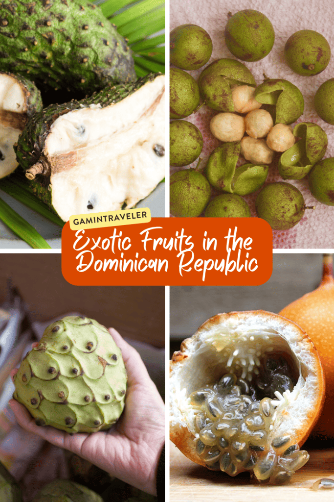 Fruits in Dominican Republic - Traditional and Exotic Fruits in Dominican Republic You Can't Miss 2 Exotic Fruits in the Dominican Republic