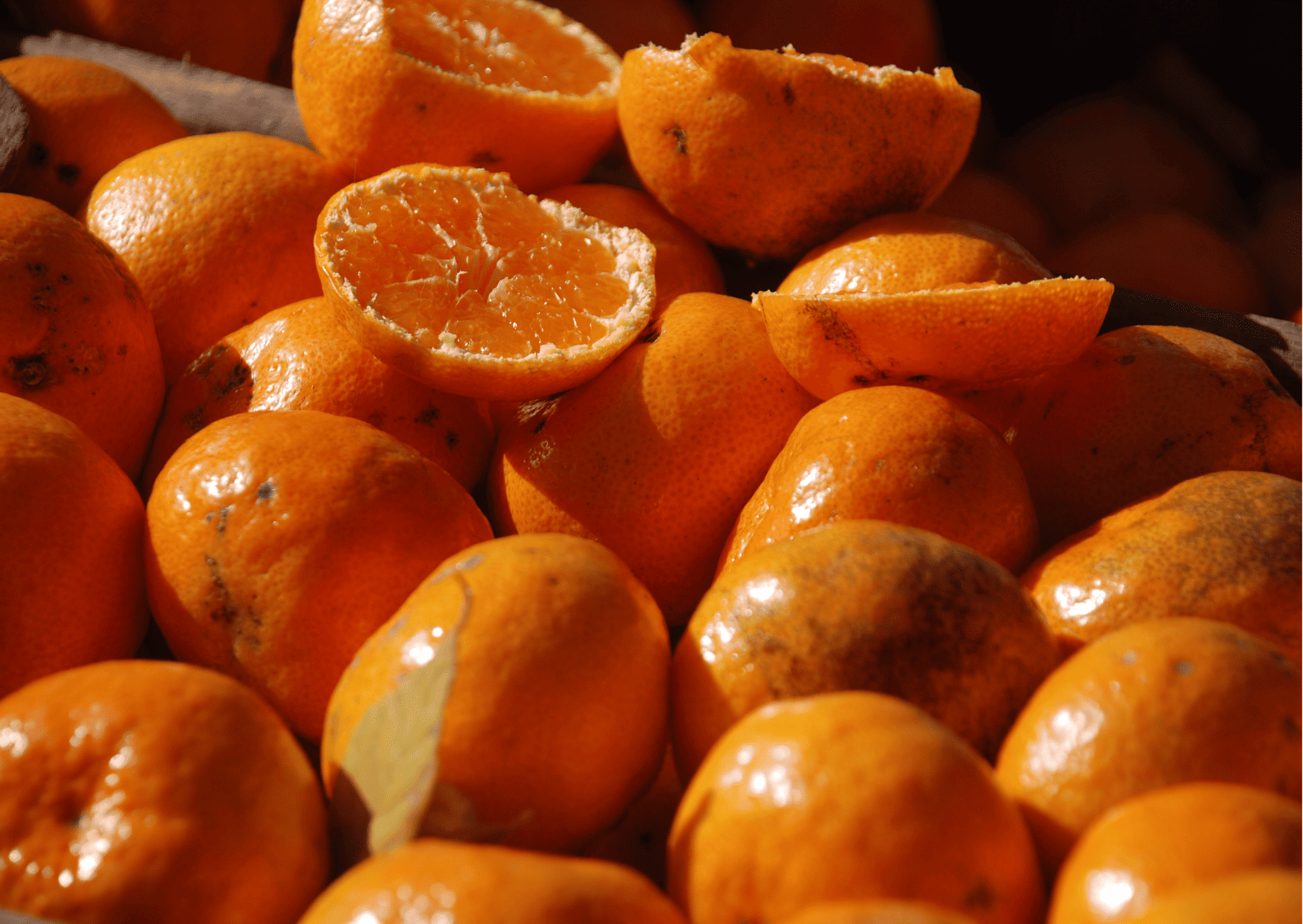 Fruits in Dominican Republic - Traditional and Exotic Fruits in Dominican Republic You Can't Miss 8 Fruits in Dominican Republic - Traditional and Exotic Fruits in Dominican Republic You Can't Miss