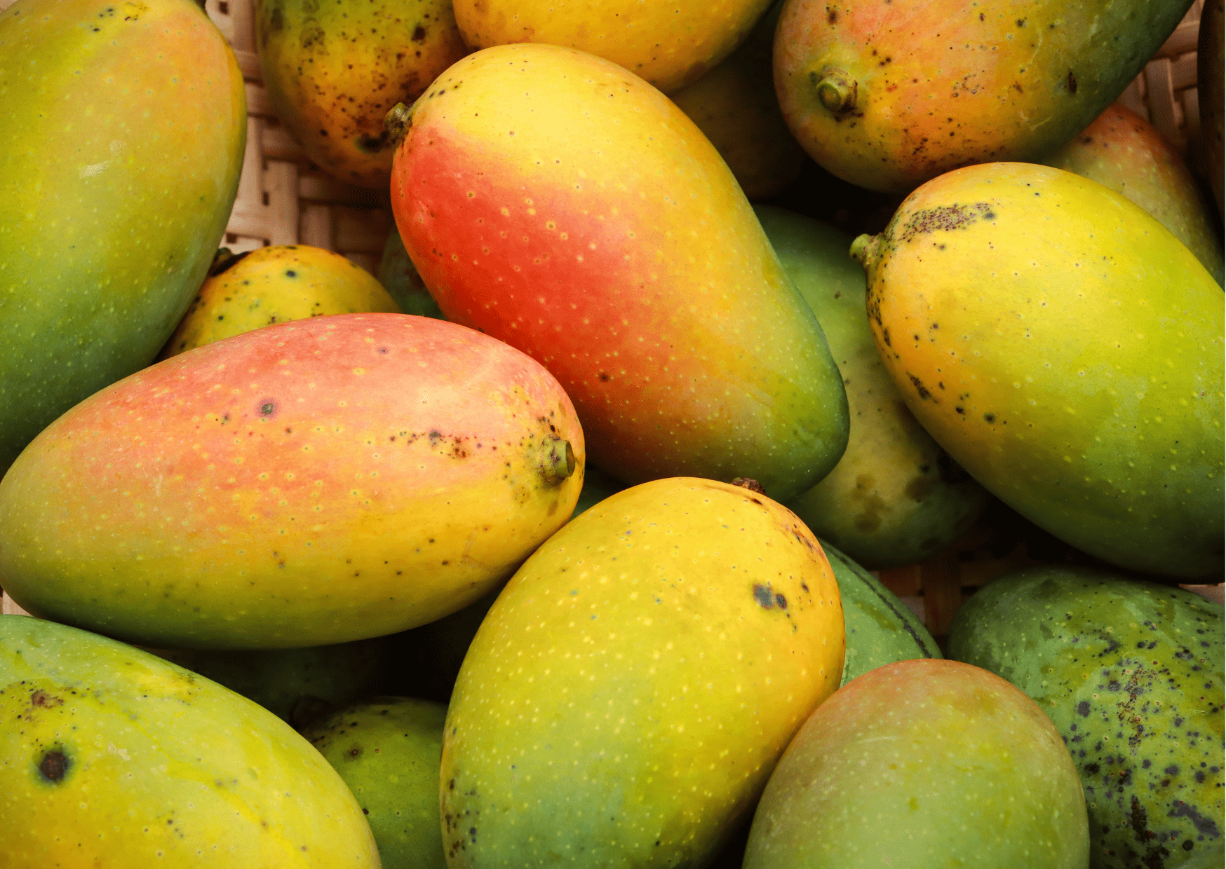 Fruits in Guatemala: 12 Traditional Exotic Guatemalan Fruits to Try