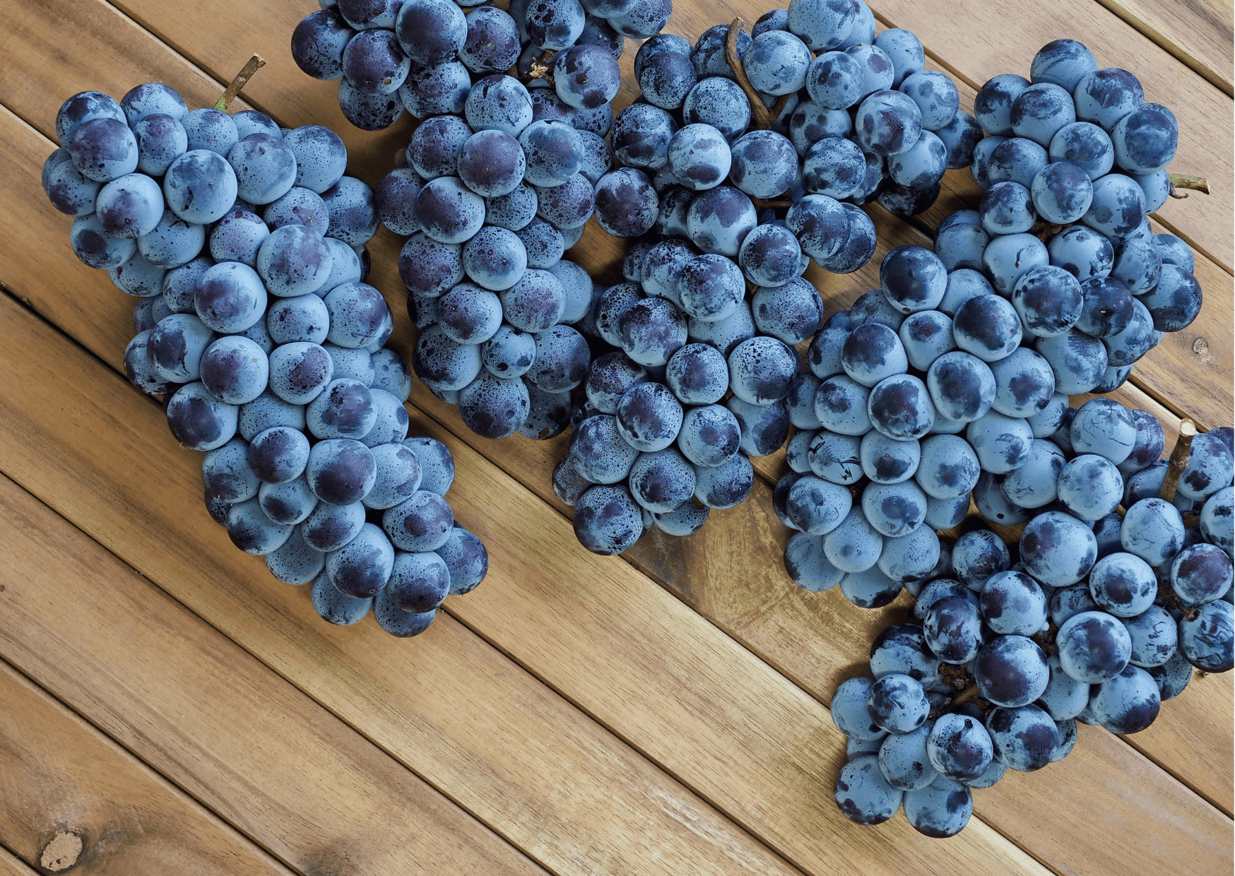 Korean Grapes - Korean Fruits - A Guide to Seasonal Fruits in Korea, Traditional Korean Fruits and Imported Fruits