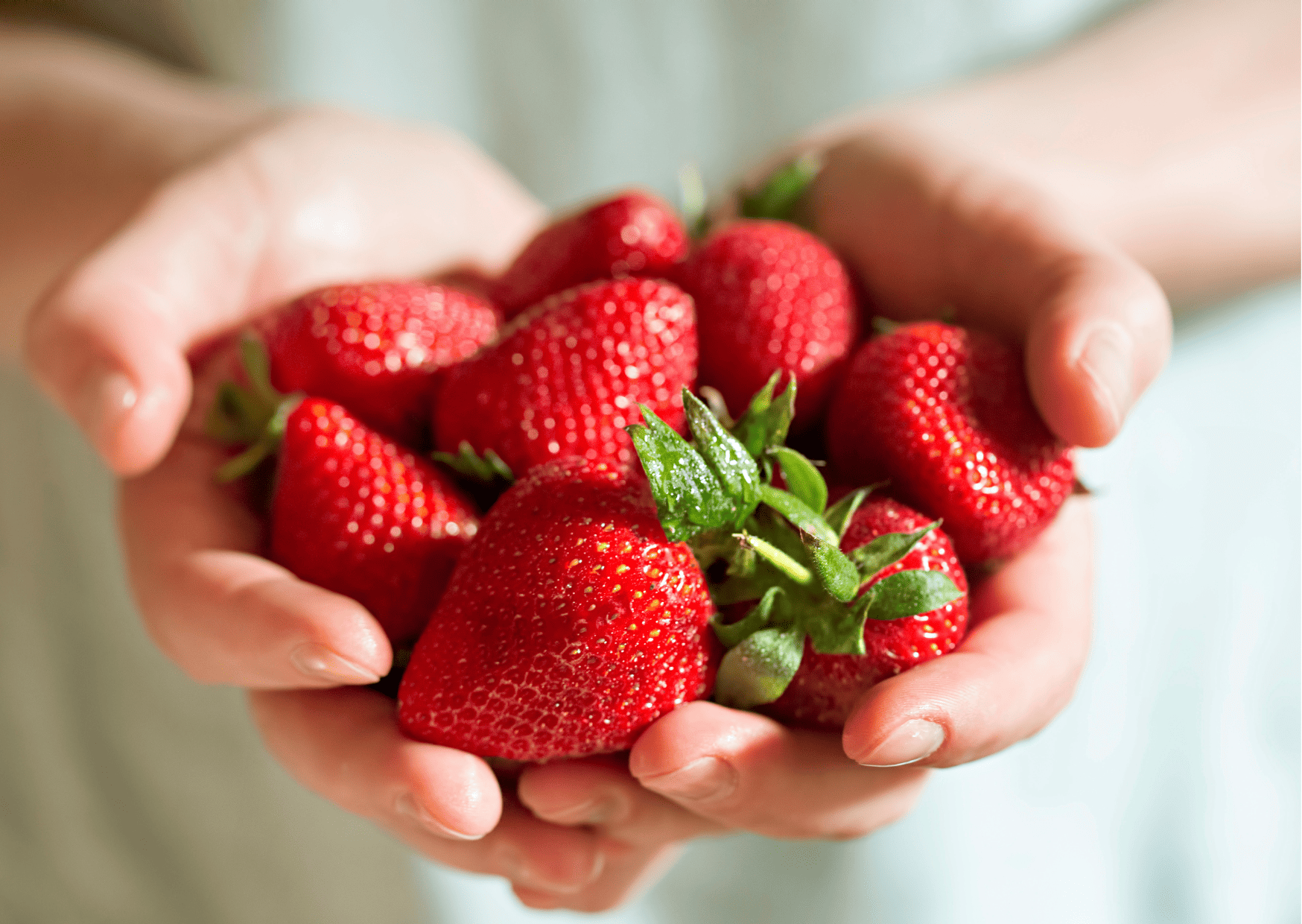 Korean strawberries (딸기 - ttalgi) , Korean Fruits - A Guide to Seasonal Fruits in Korea, Traditional Korean Fruits and Imported Fruits