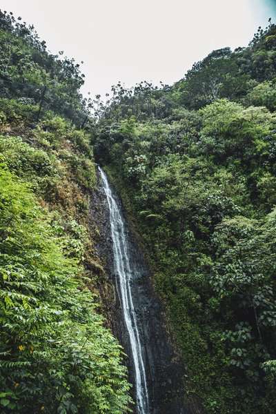 Comparison Honolulu vs Kauai - Which is the Better Vacation? 8 Honolulu vs Kauai - Which is the Better Vacation?