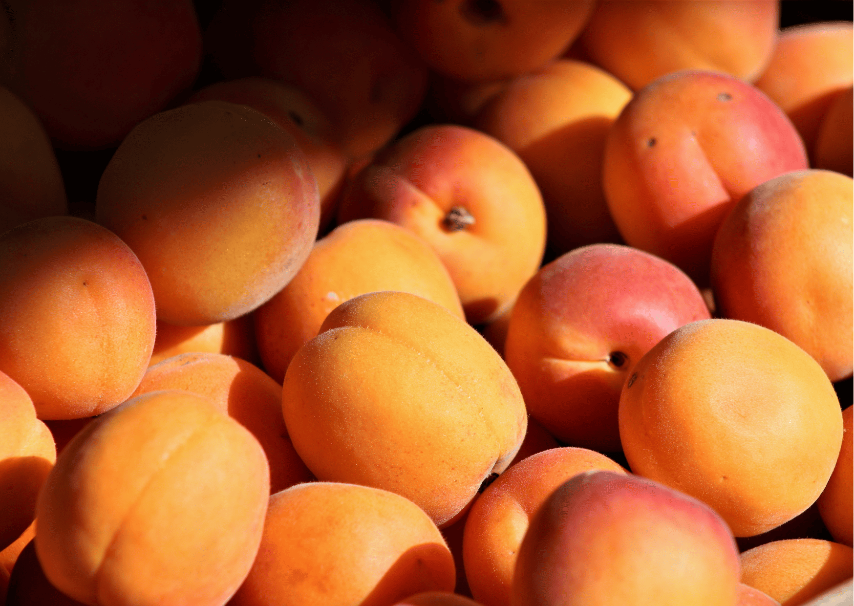 Peaches - - Korean Fruits - A Guide to Seasonal Fruits in Korea, Traditional Korean Fruits and Imported Fruits
