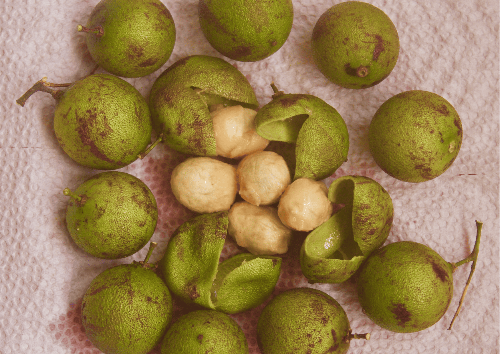 Fruits in Dominican Republic - Traditional and Exotic Fruits in Dominican Republic You Can't Miss 9 Fruits in Dominican Republic - Traditional and Exotic Fruits in Dominican Republic You Can't Miss