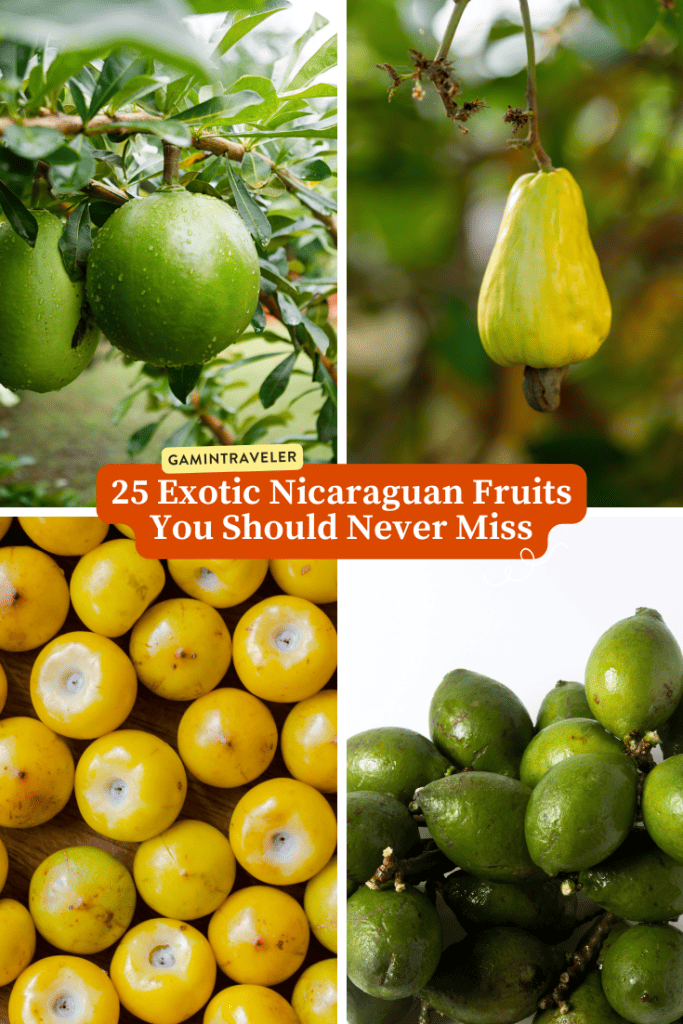 Nicaragua Fruits - 20 Exotic Nicaraguan Fruits and What Fruits in Nicaragua to Never Miss 2 Nicaragua Fruits – 20 Exotic Nicaraguan Fruits and What Fruits in Nicaragua to Never Miss