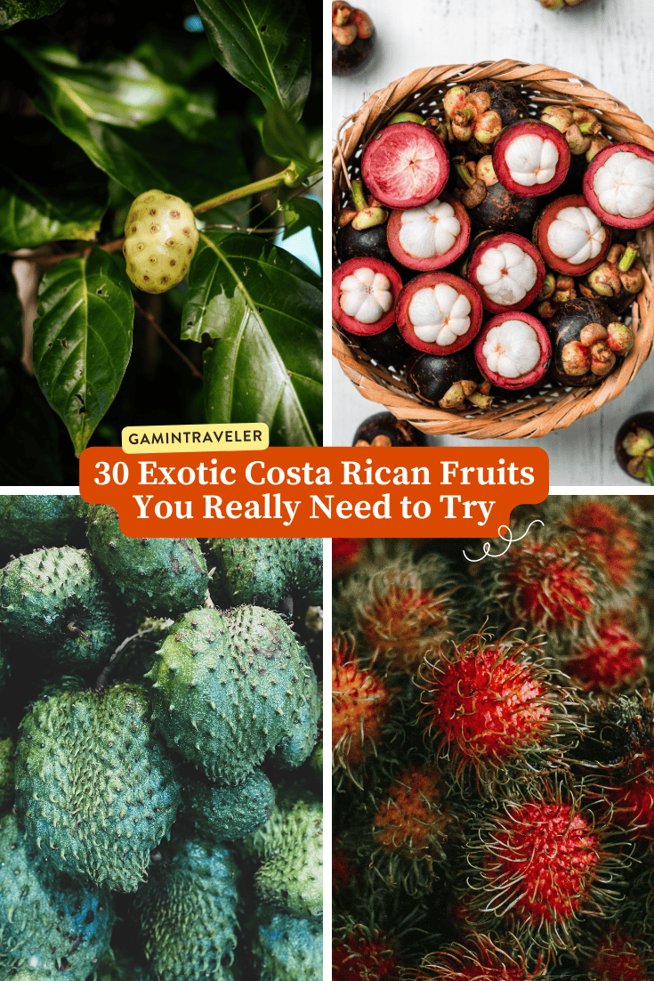 Fruits in Costa Rica - 30 Exotic Costa Rican Fruits You Really Need to Try 1 Fruits in Costa Rica - 30 Exotic Costa Rican Fruits You Really Need to Try