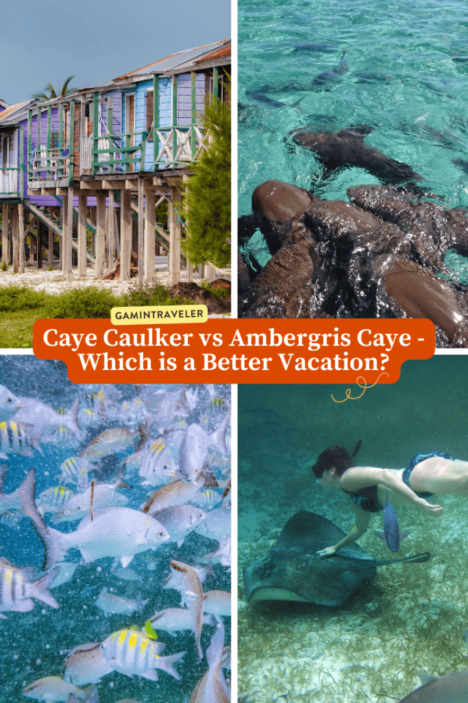 Comparison Caye Caulker vs Ambergris Caye - Which is a Better Vacation? 1 Caye Caulker vs Ambergris Caye - Which is a Better Vacation?