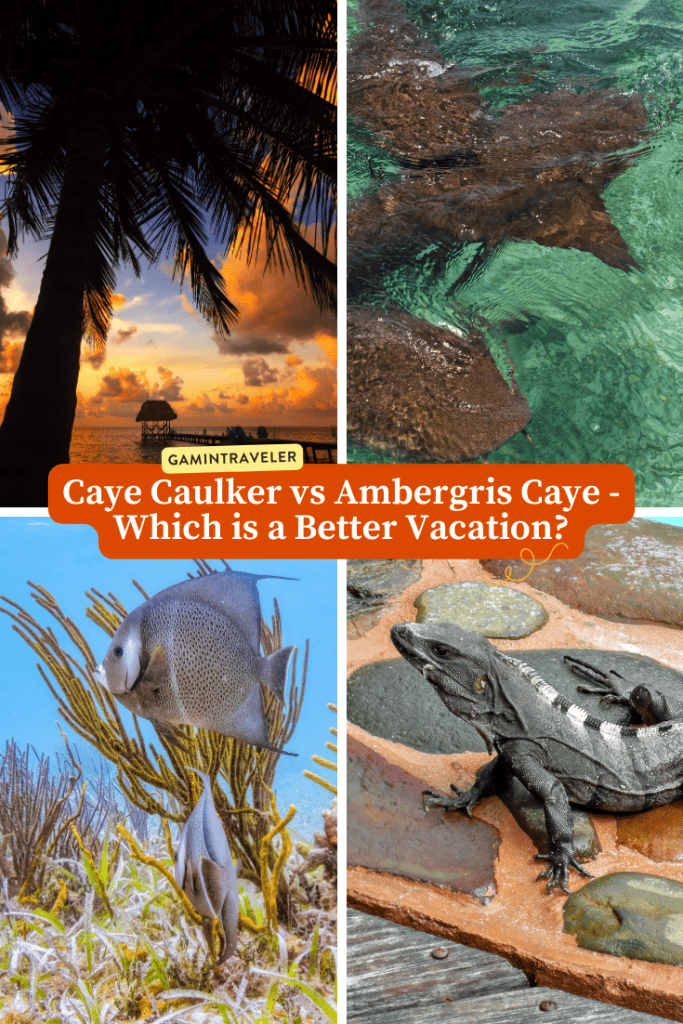 Comparison Caye Caulker vs Ambergris Caye - Which is a Better Vacation? 2 Caye Caulker vs Ambergris Caye - Which is a Better Vacation?