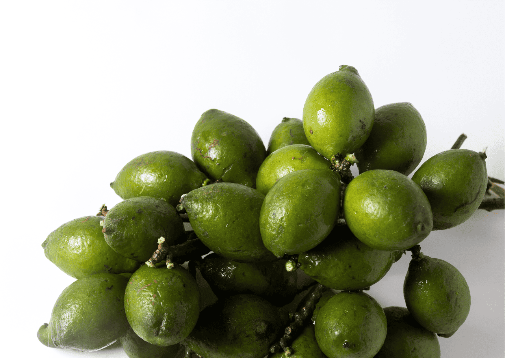 Nicaragua Fruits - 20 Exotic Nicaraguan Fruits and What Fruits in Nicaragua to Never Miss 6 Mamon, Mamoncillo - Nicaragua Fruits – 20 Exotic Nicaraguan Fruits and What Fruits in Nicaragua to Never Miss