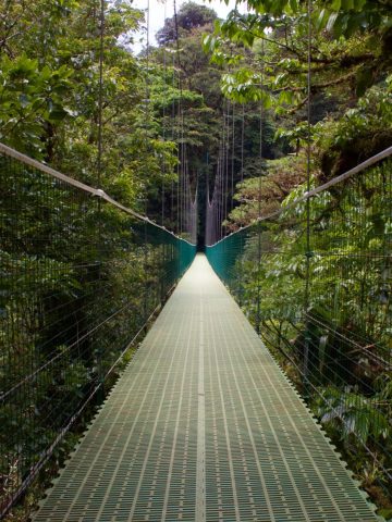 14 Weirdest Places to Visit in Costa Rica, 10 Beautiful Towns in Costa Rica, How To Get From Playa Flamingo to Monteverde Best Way – All Possible Ways, Playa Flamingo to Monteverde, Playa Flamingo to Monteverde transfer, cheapest way from Playa Flamingo to Monteverde, bus from Playa Flamingo to Monteverde, from Playa Flamingo to Monteverde by bus, best way from Playa Flamingo to Monteverde, taxi from Playa Flamingo to Monteverde, private transfer from Playa Flamingo to Monteverde, Shared Van from Playa Flamingo to Monteverde, rent a car in Playa Flamingo, uber from Playa Flamingo to Monteverde