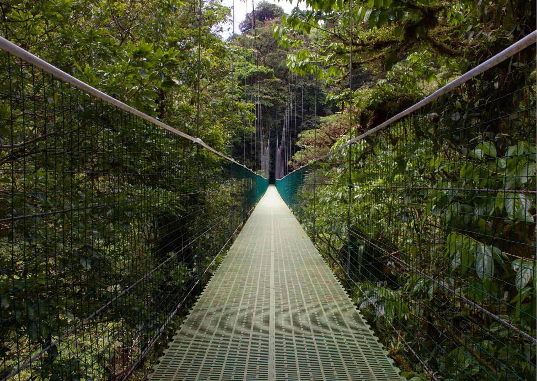 14 Weirdest Places to Visit in Costa Rica, 10 Beautiful Towns in Costa Rica, How To Get From Playa Flamingo to Monteverde Best Way – All Possible Ways, Playa Flamingo to Monteverde, Playa Flamingo to Monteverde transfer, cheapest way from Playa Flamingo to Monteverde, bus from Playa Flamingo to Monteverde, from Playa Flamingo to Monteverde by bus, best way from Playa Flamingo to Monteverde, taxi from Playa Flamingo to Monteverde, private transfer from Playa Flamingo to Monteverde, Shared Van from Playa Flamingo to Monteverde, rent a car in Playa Flamingo, uber from Playa Flamingo to Monteverde