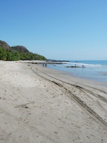 How To Get From Tamarindo to Montezuma Best Way – All Possible Ways, Tamarindo to Montezuma, Tamarindo to Montezuma transfer, cheapest way from Tamarindo to Montezuma, bus from Tamarindo to Montezuma, from Tamarindo to Montezuma by bus, taxi from Tamarindo to Montezuma, private transfer from Tamarindo to Montezuma, Shared Van from Tamarindo to Montezuma, rent a car in Tamarindo, uber from Tamarindo to Montezuma