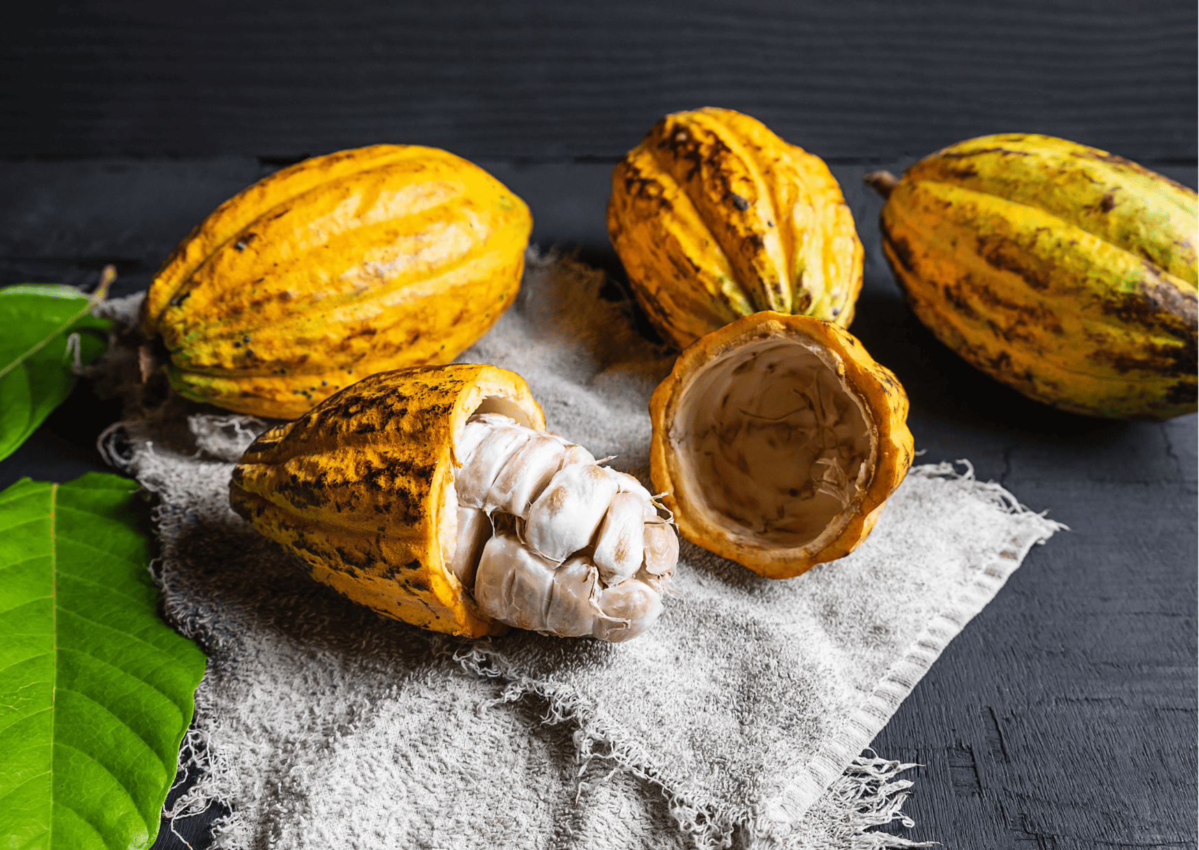 Nicaragua Fruits - 20 Exotic Nicaraguan Fruits and What Fruits in Nicaragua to Never Miss 16 Nicaragua Fruits – 20 Exotic Nicaraguan Fruits and What Fruits in Nicaragua to Never Miss