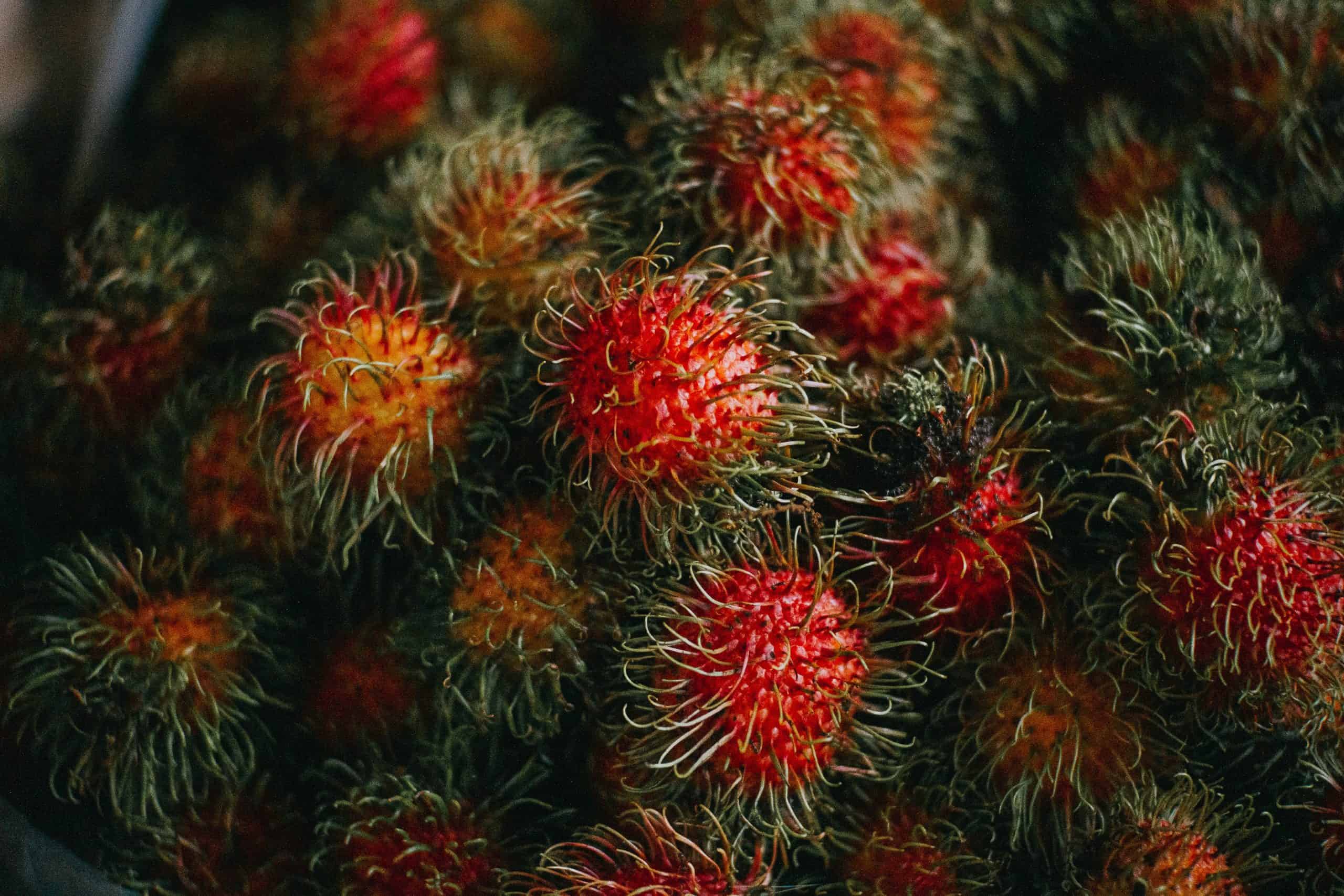 Fruits in Singapore: 25 Tropical Singapore Fruits to Try and Singapore Desserts