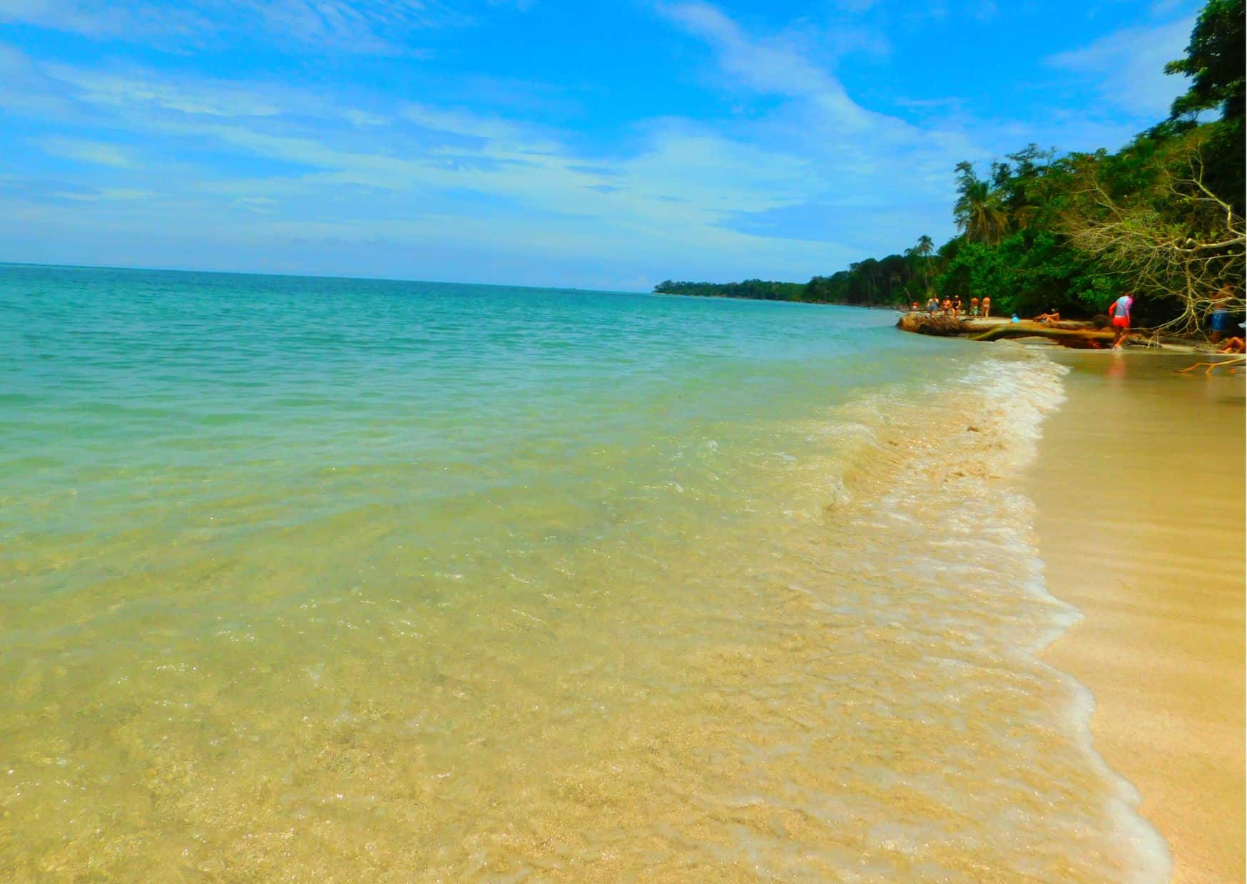 How To Get From Bocas del Toro to Cahuita Best Way, Bocas del Toro to Cahuita, Bocas del Toro to Cahuita transfer, cheapest way from Bocas del Toro to Cahuita, bus from Bocas del Toro to Cahuita, from Bocas del Toro to Cahuita by bus, taxi from Bocas del Toro to Cahuita, private transfer from Bocas del Toro to Cahuita, Shared Van from Bocas del Toro to Cahuita, rent a car in Bocas del Toro, bus from Sixaola to Cahuita, bus from Almirante to Sixaola, Bocas del toro to ALmirante, uber from Bocas del Toro to Cahuita