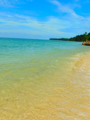 How To Get From La Fortuna to Cahuita Best Way, La Fortuna to Cahuita, cheapest way from La Fortuna to Cahuita, La Fortuna to Cahuita bus, from La Fortuna to Cahuita bus, taxi from La Fortuna to Cahuita, private transfer from La Fortuna to Cahuita, Shared Van La Fortuna to Cahuita, rent a car La Fortuna to Cahuita,